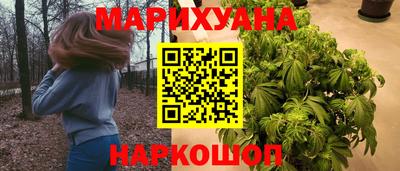 Альфа ПВП Будённовск