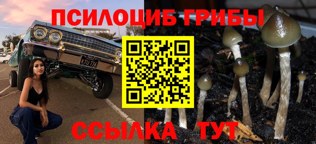 Псилоцибиновые грибы Psilocybe  Вход с VPN  Рубцовск 